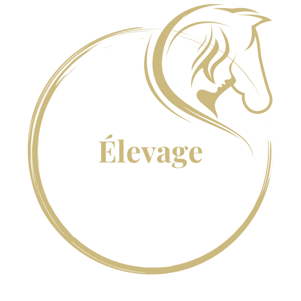 Élevage
