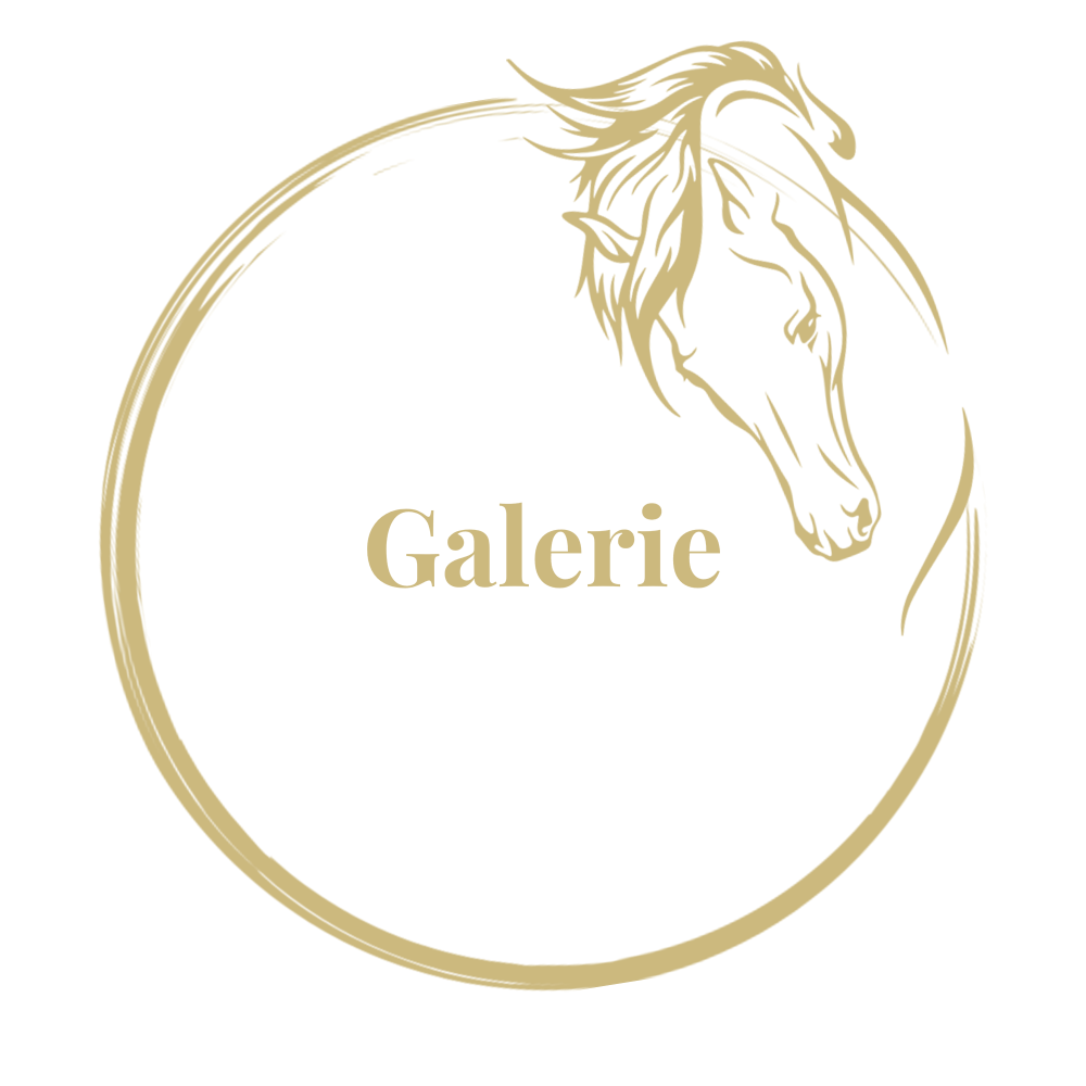 Galerie