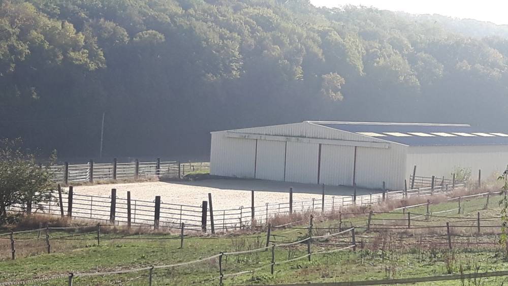 Les écuries d’Armani (3)