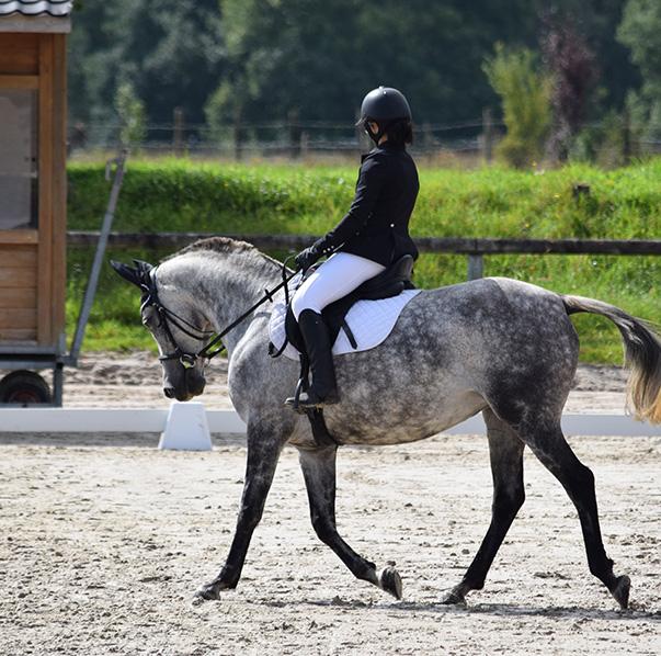 Victoire Armani