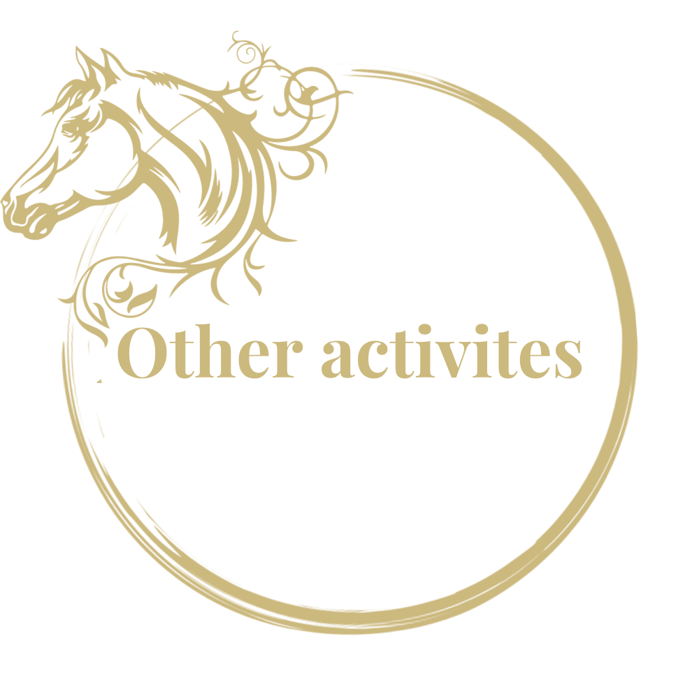 Autres Activités en