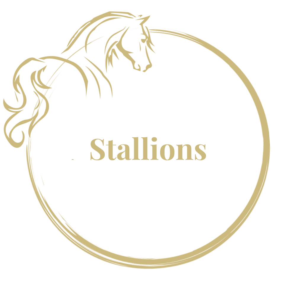 Les Étalons en