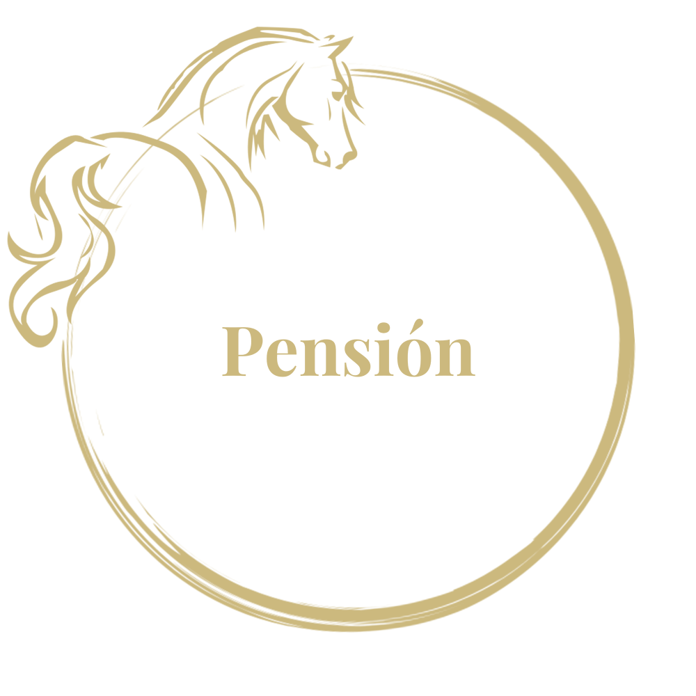 Pension es