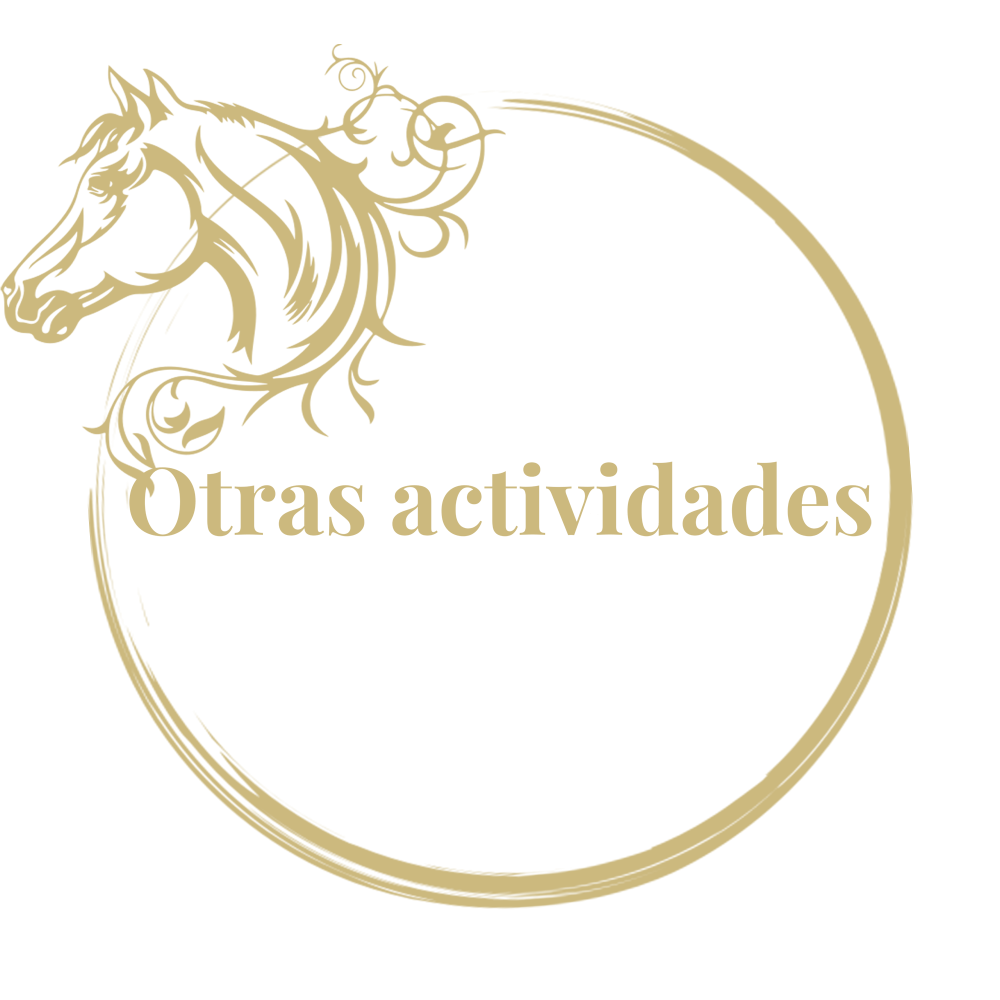 Autres Activités es