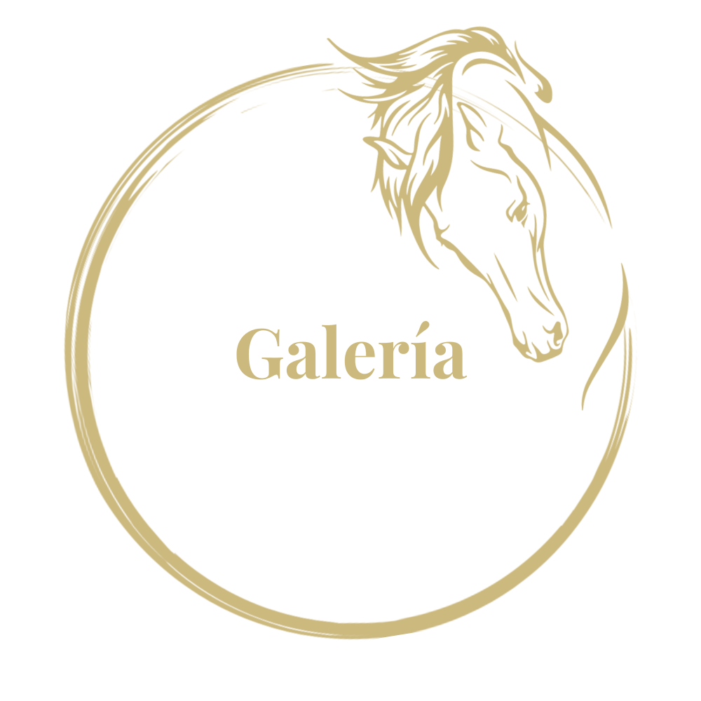 Galerie es
